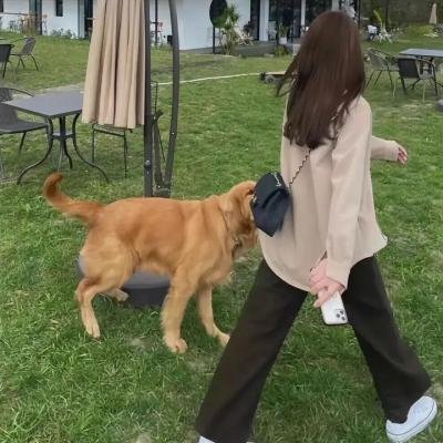 美洲狮俱乐部